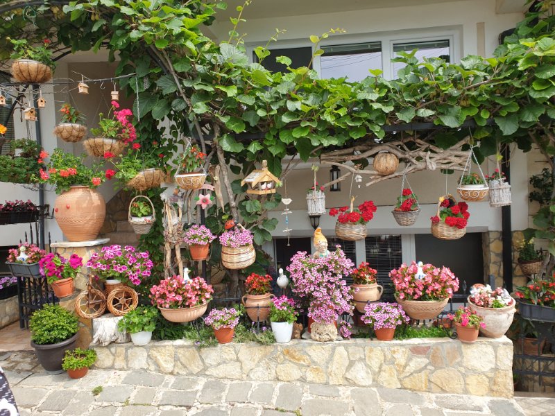 20190623_093426 20190623_093426