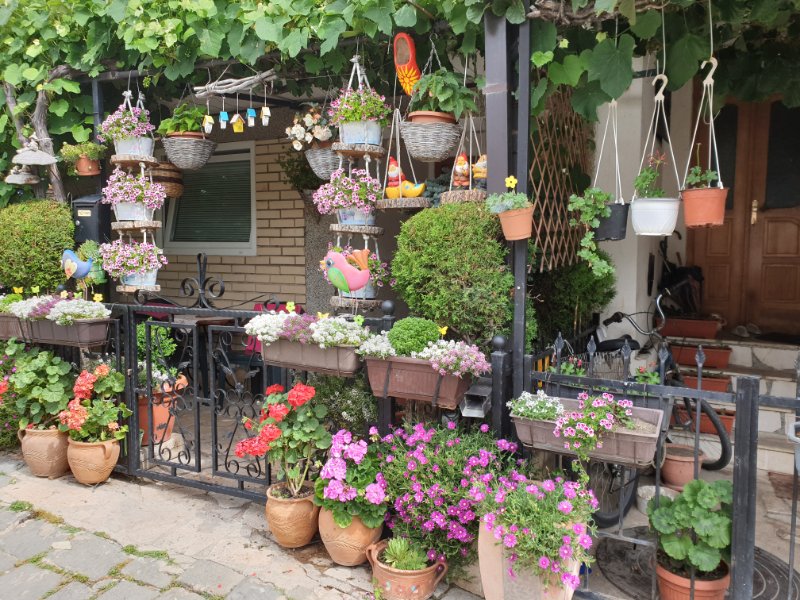 20190623_093436 20190623_093436