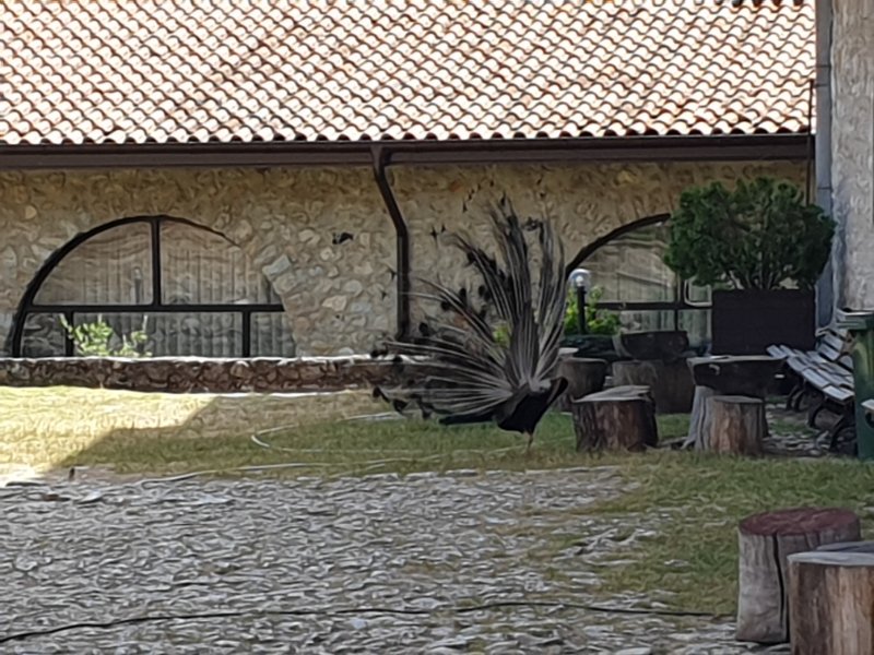 20190624_102649 20190624_102649